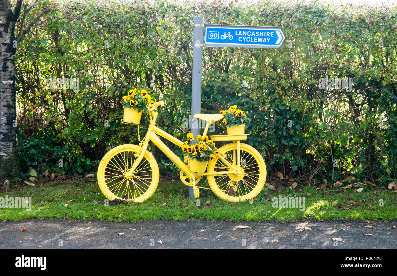 Location bord peint en jaune avec des fleurs jaune et noir pensées sur elle. Elswick Lancashire England UK village Banque D'Images