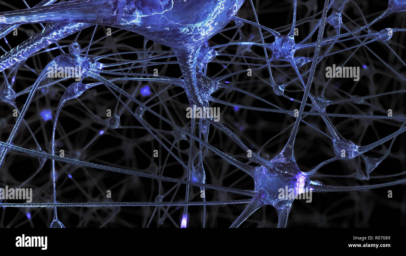 Le rendu 3D d'un réseau de cellules et de neurones synapses par lequel ...