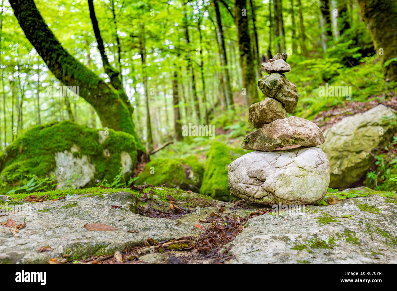 Pierres Zen en forêt verte sur le roc. Méditation et relaxation concept, design en harmonie avec la nature. Banque D'Images