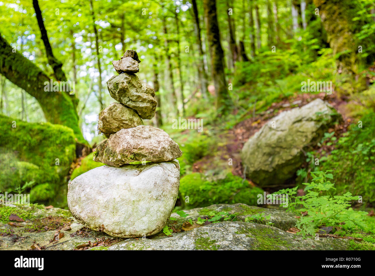 Pierres Zen en forêt verte sur le roc. Méditation et relaxation concept, design en harmonie avec la nature. Banque D'Images