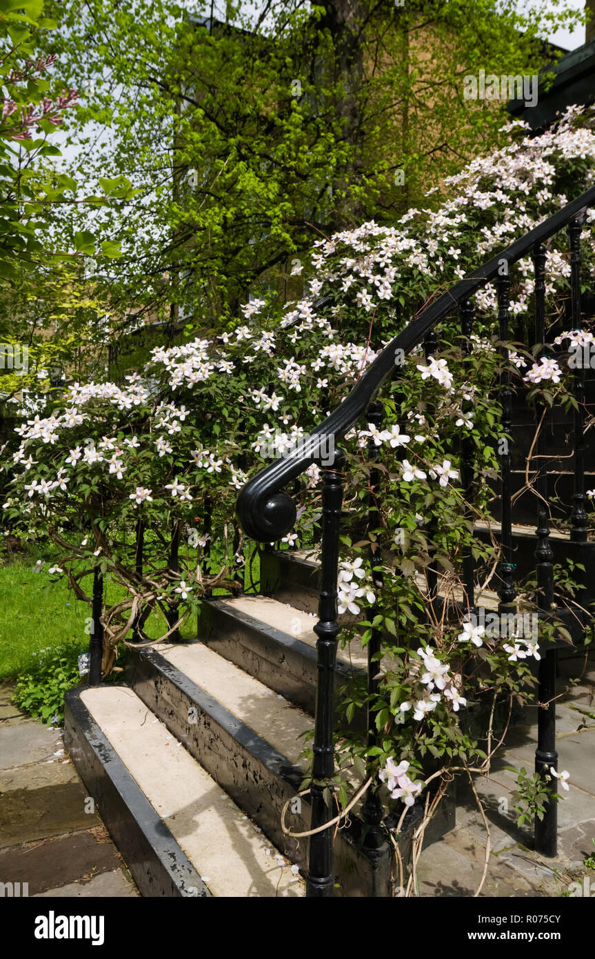 Fleurs sur bannister in garden Banque D'Images