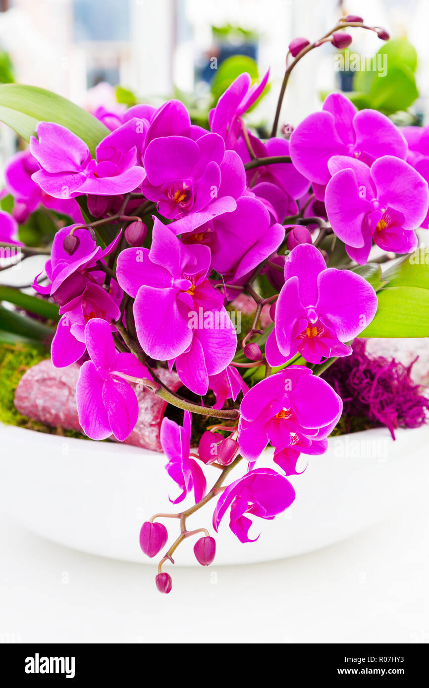 Maison De Vacances Avec Belle Arrière Plan Dynamique Close