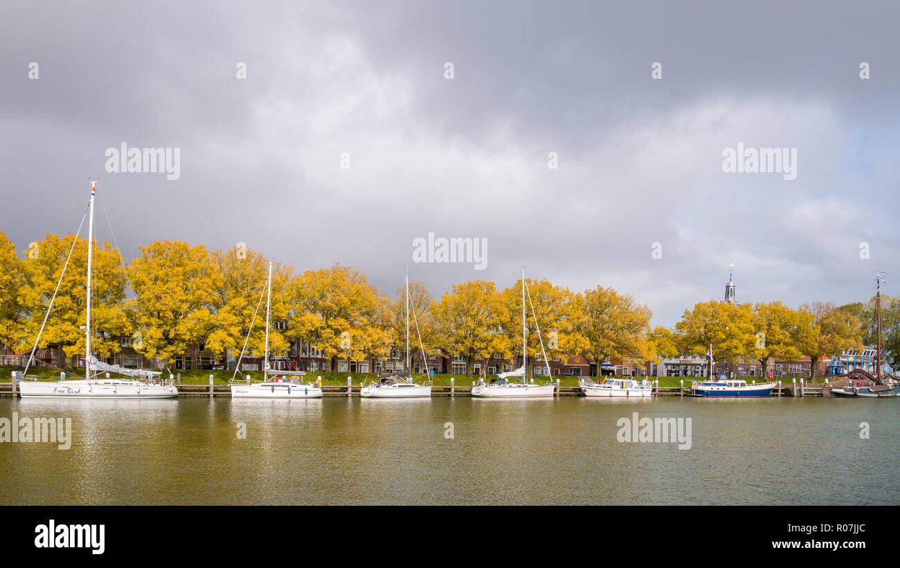 Les arbres d'automne et de voiliers dans le vieux port de la ville d'Enkhuizen, Noord-Holland, Banque D'Images