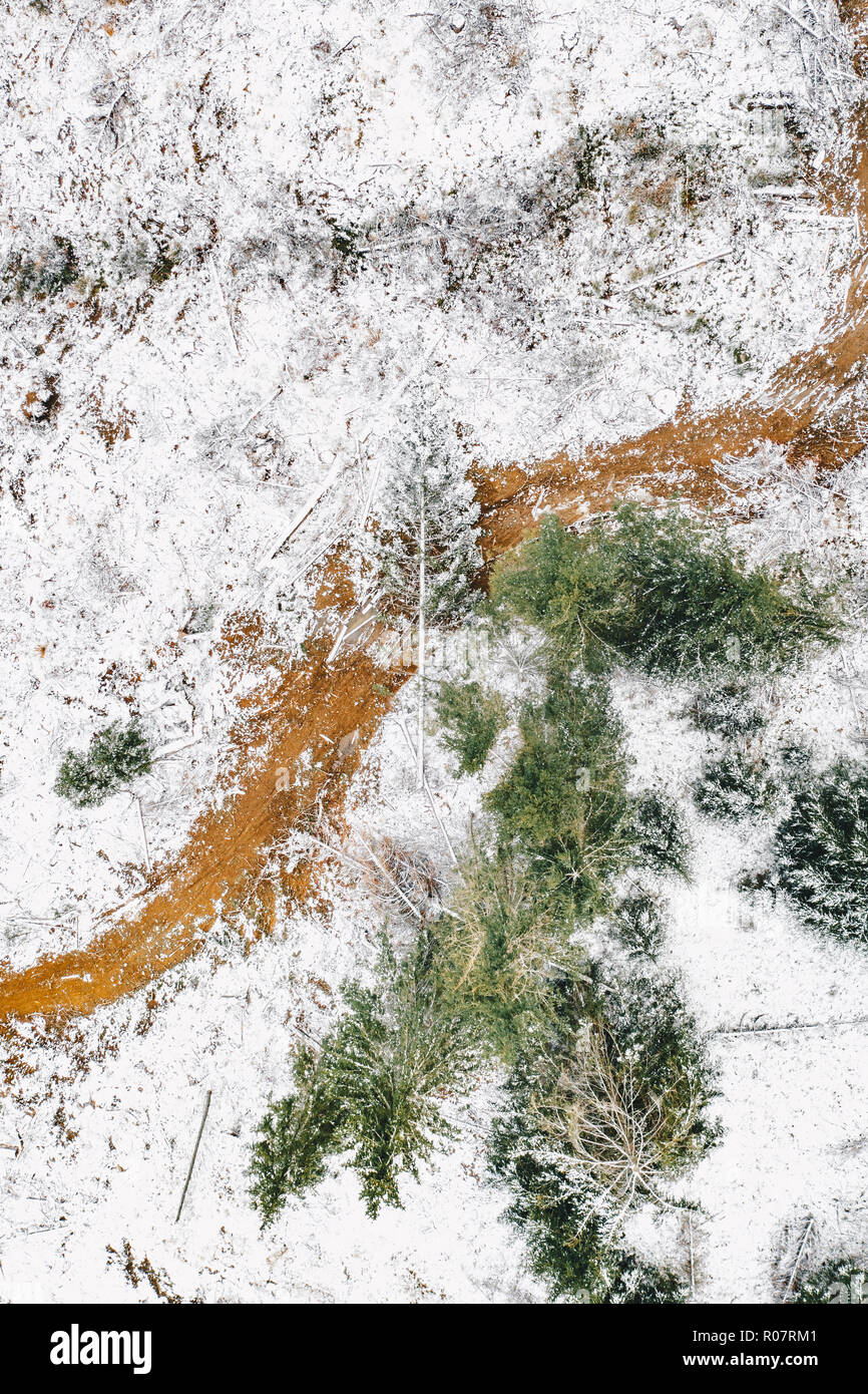 Première neige dans la forêt vue aérienne Banque D'Images