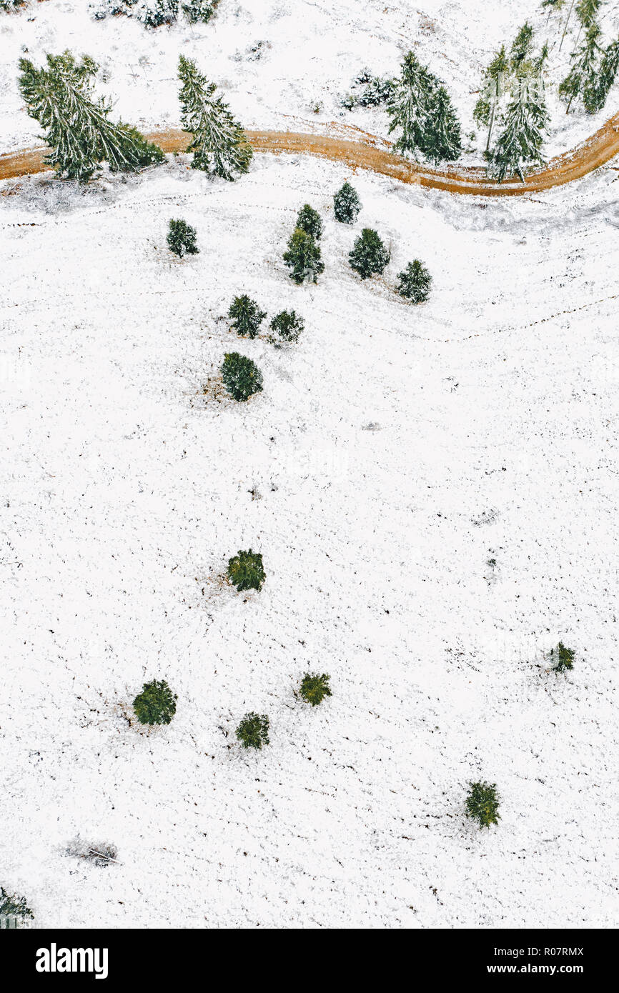 Première neige dans la forêt vue aérienne Banque D'Images