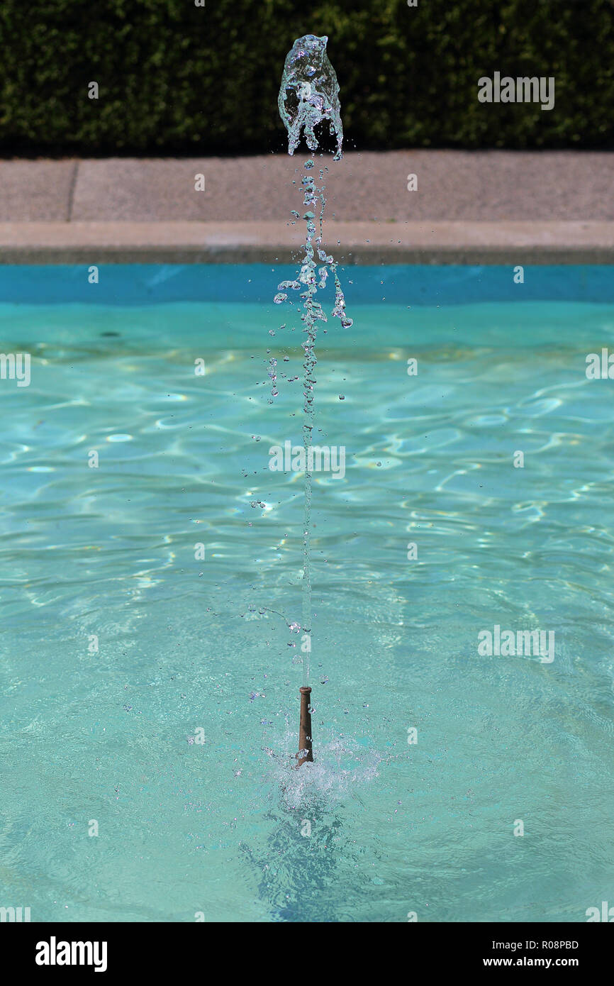 Germes de l'eau dans la piscine à High Park, Toronto, Ontario, Canada. Banque D'Images