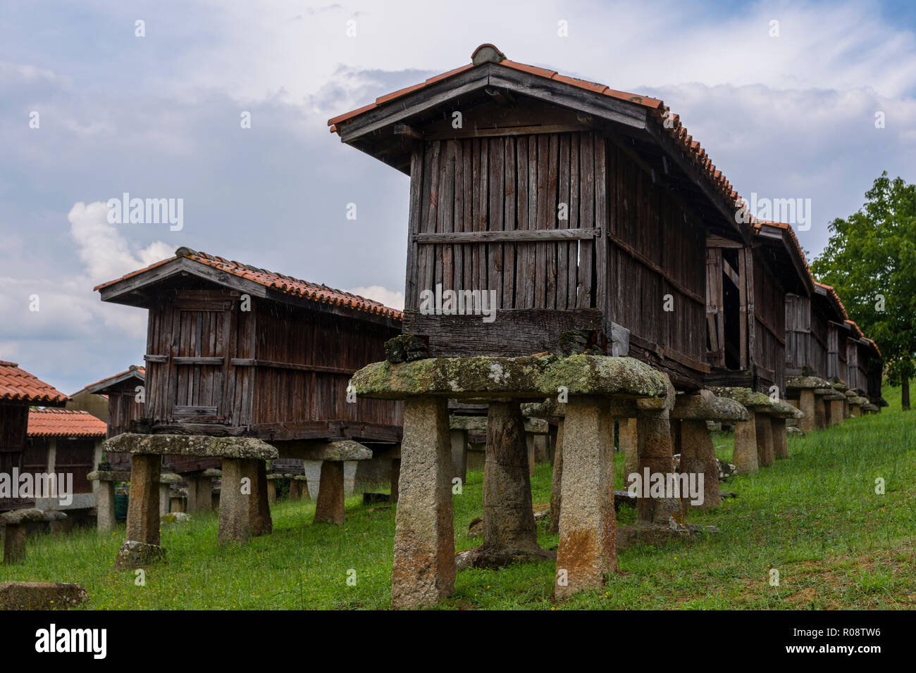 Construction d'hórreo galicien utilisation agricole destinés à sécher, traiter et stocker le maïs et autres céréales très typiques de la Galice, Espagne Banque D'Images