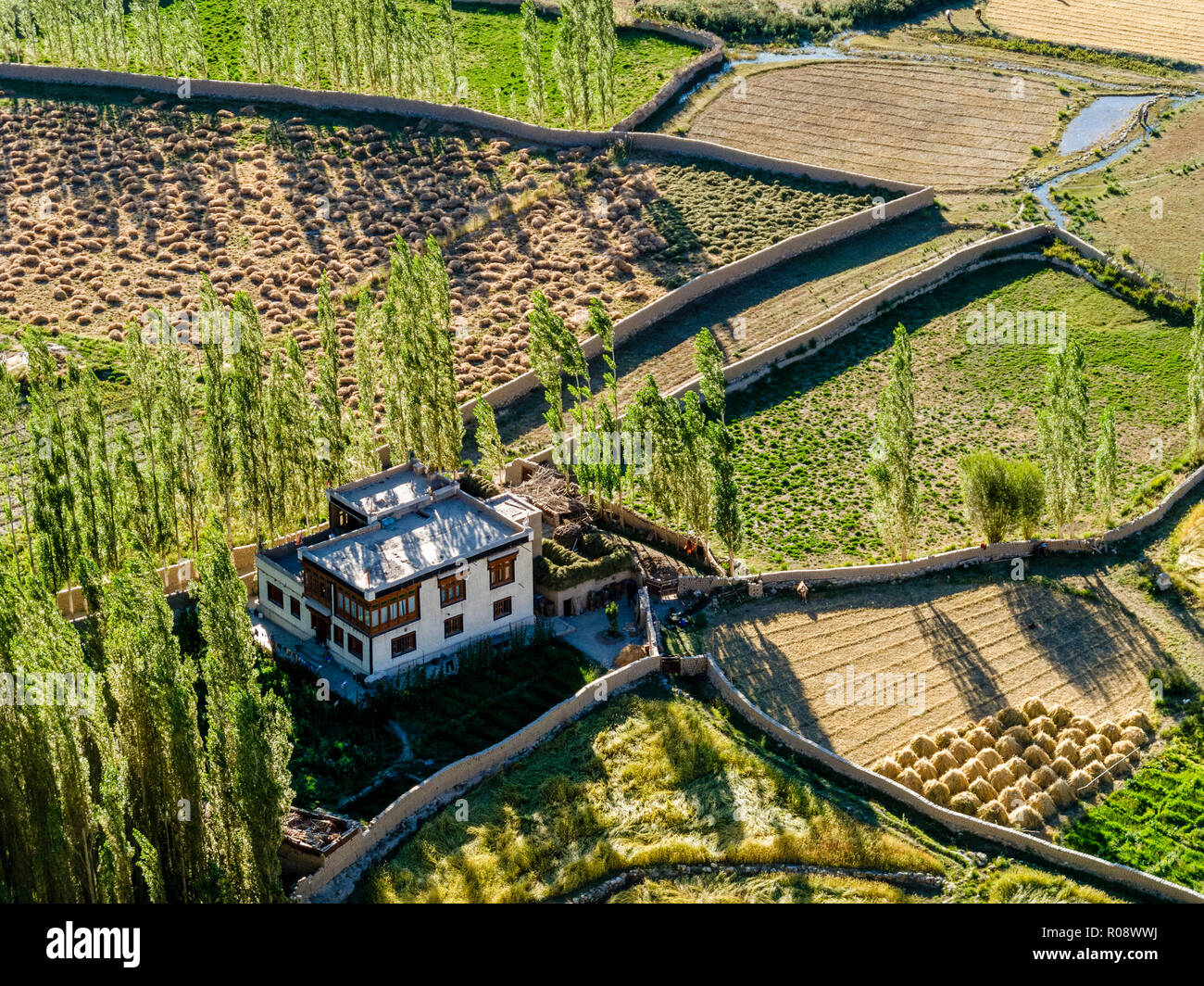 Les terres agricoles irriguées le long du fleuve Indus, vu depuis le toit de Tikse Gompa Banque D'Images