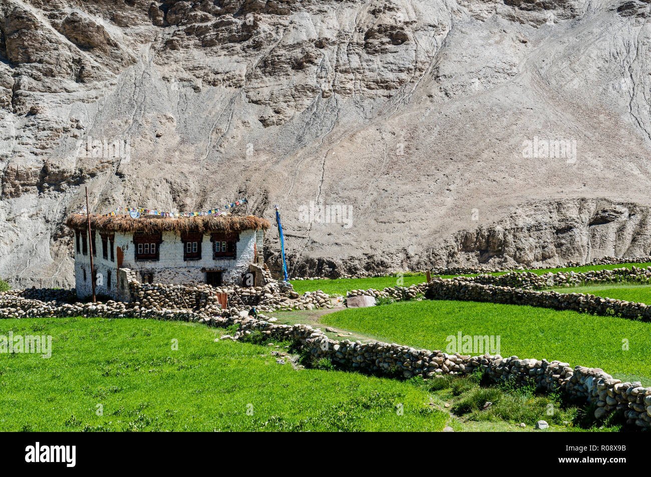 Les agriculteurs d'une maison entourée de champs verts, juste à côté de l'Autoroute Près de Manali-Leh Taglang La. Banque D'Images