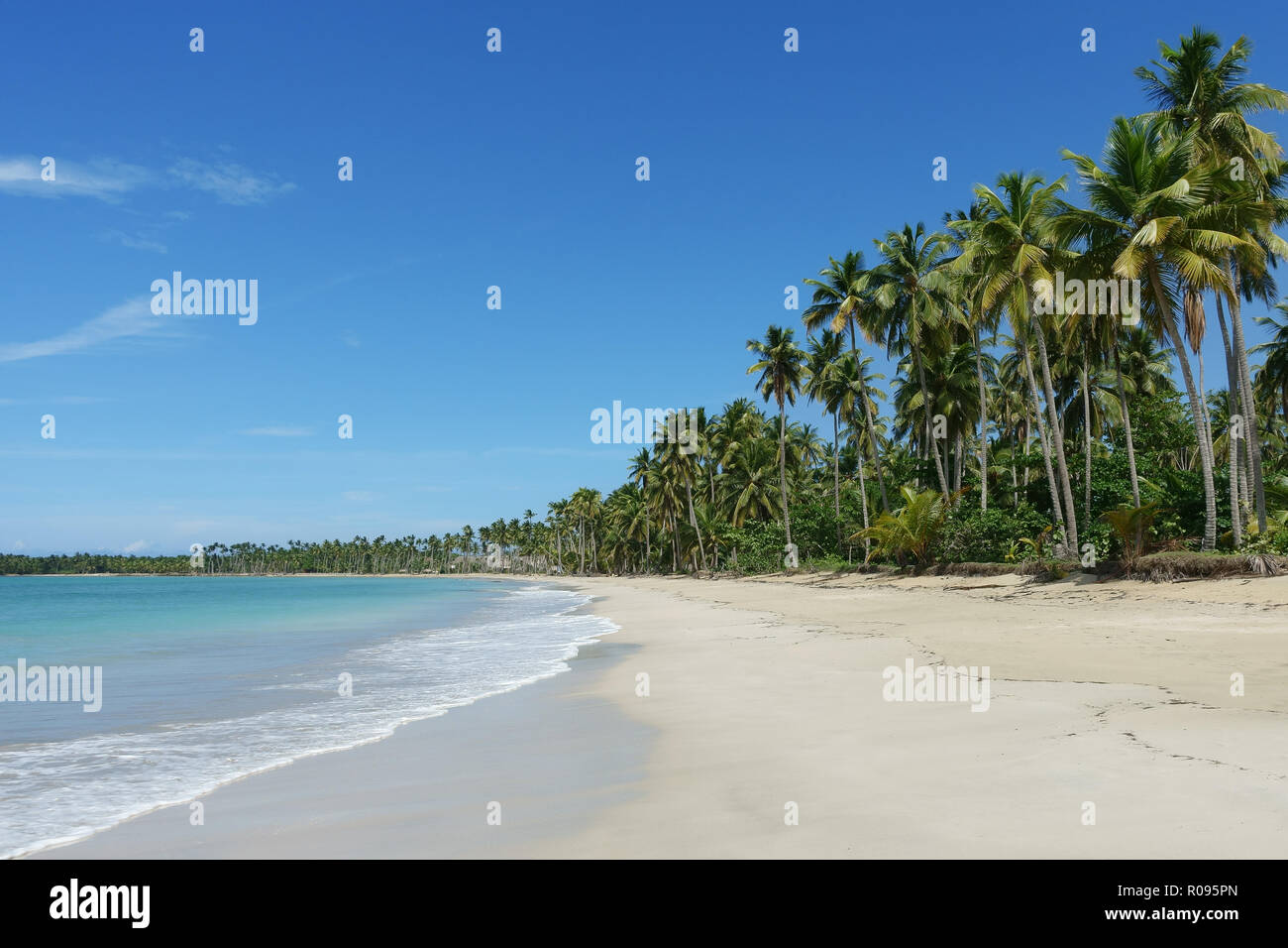 Belle plage naturelle avec palmiers, Samana, République Dominicaine Banque D'Images