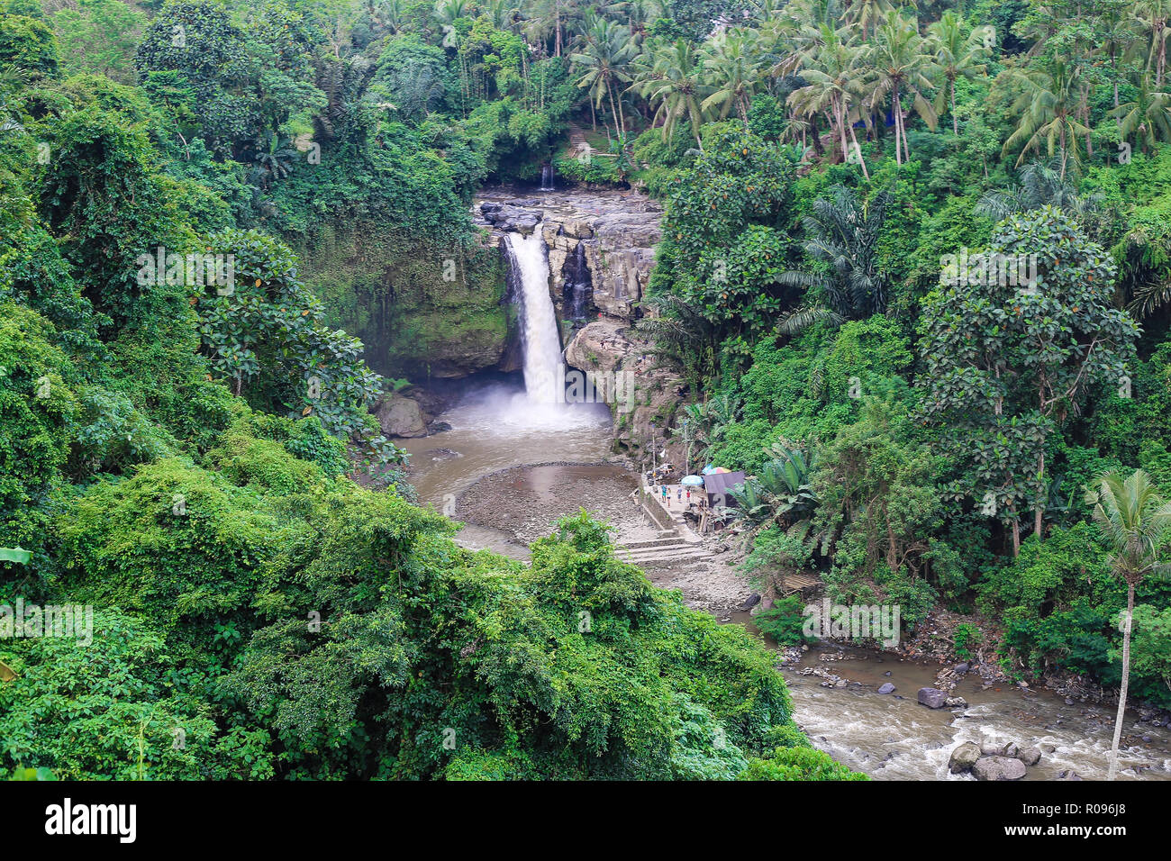 Cascade, l'île de Bali, l'Asie, la plus haute cascade dans la jungle Banque D'Images