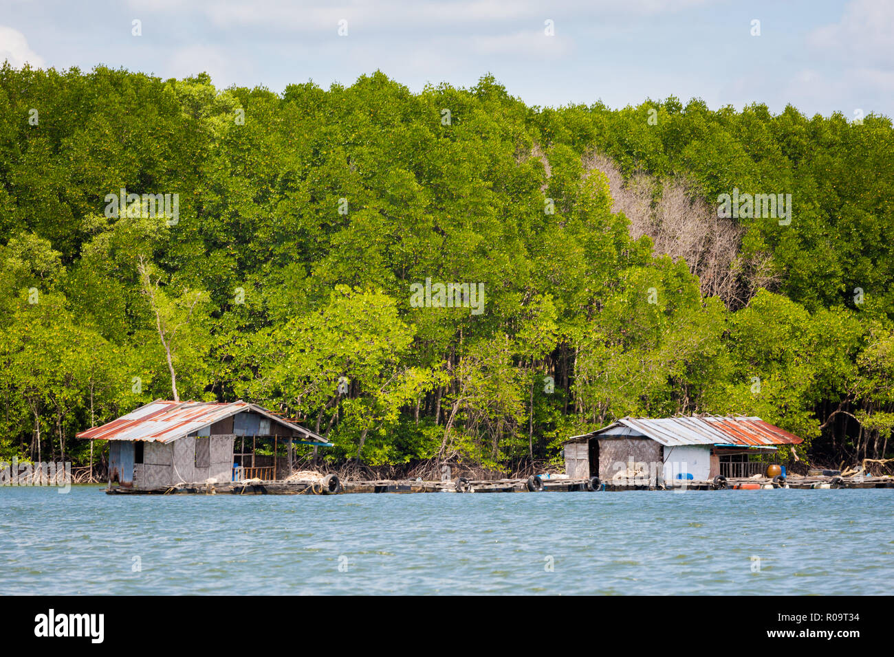 Voir avec des cases sur la rivière Nam Pak tropicales de Krabi dans le sud de la Thaïlande. Prises de paysage bateau longtail en Asie du sud-est. Banque D'Images