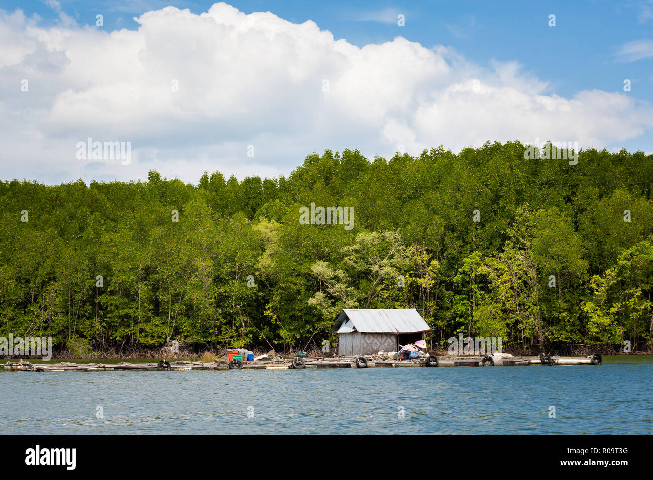 Voir avec des cases sur la rivière Nam Pak tropicales de Krabi dans le sud de la Thaïlande. Prises de paysage bateau longtail en Asie du sud-est. Banque D'Images