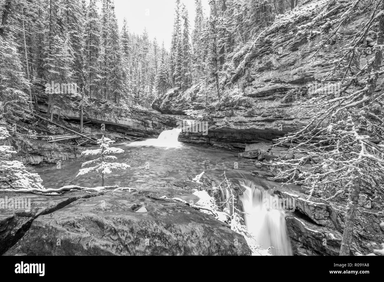 Cascade de jour de neige Banque D'Images