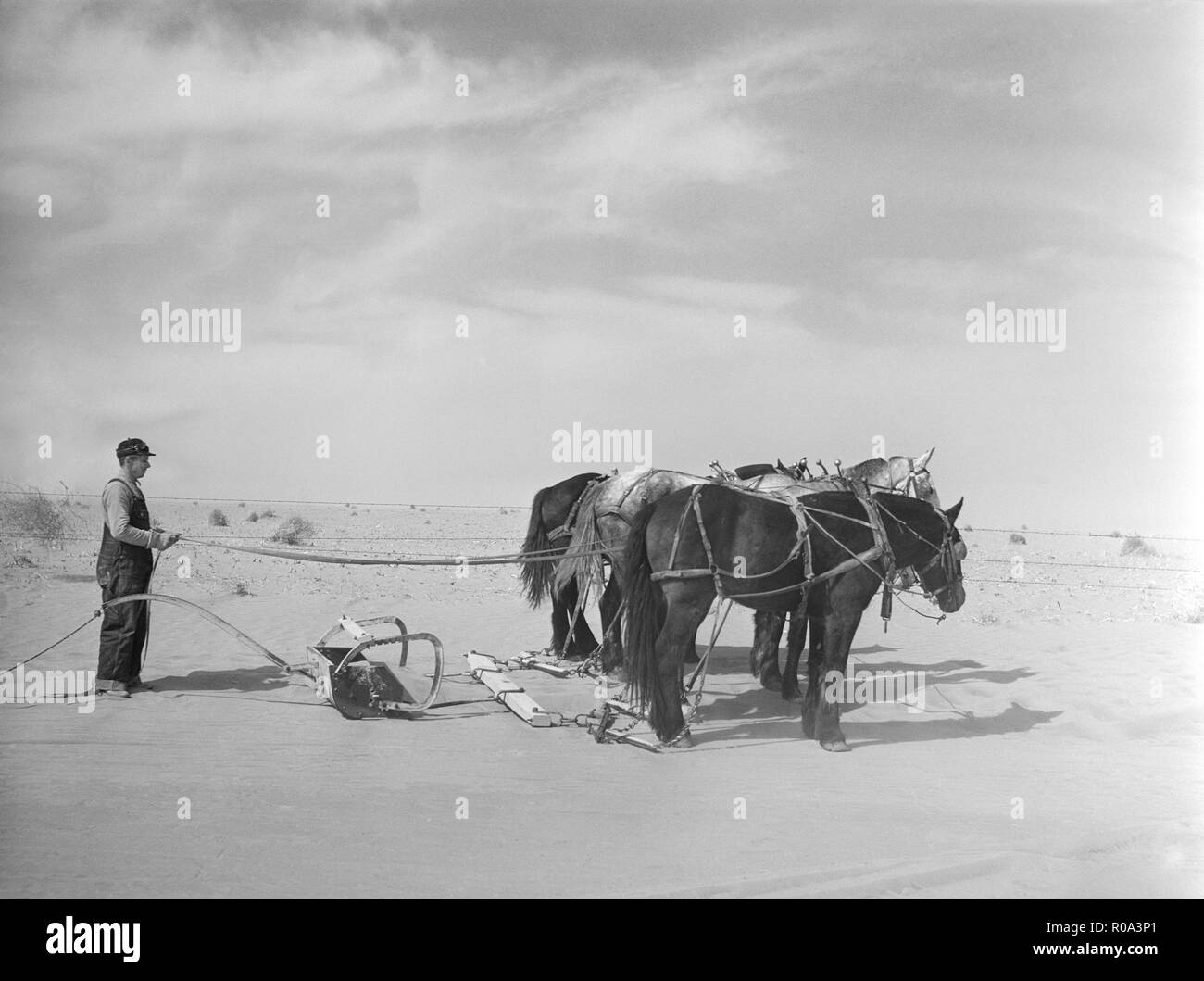 Dépose de dérives de blocage du sol l'Autoroute Près de Guymon, Oklahoma, USA, Arthur Rothstein, Farm Security Administration, Mars 1936 Banque D'Images