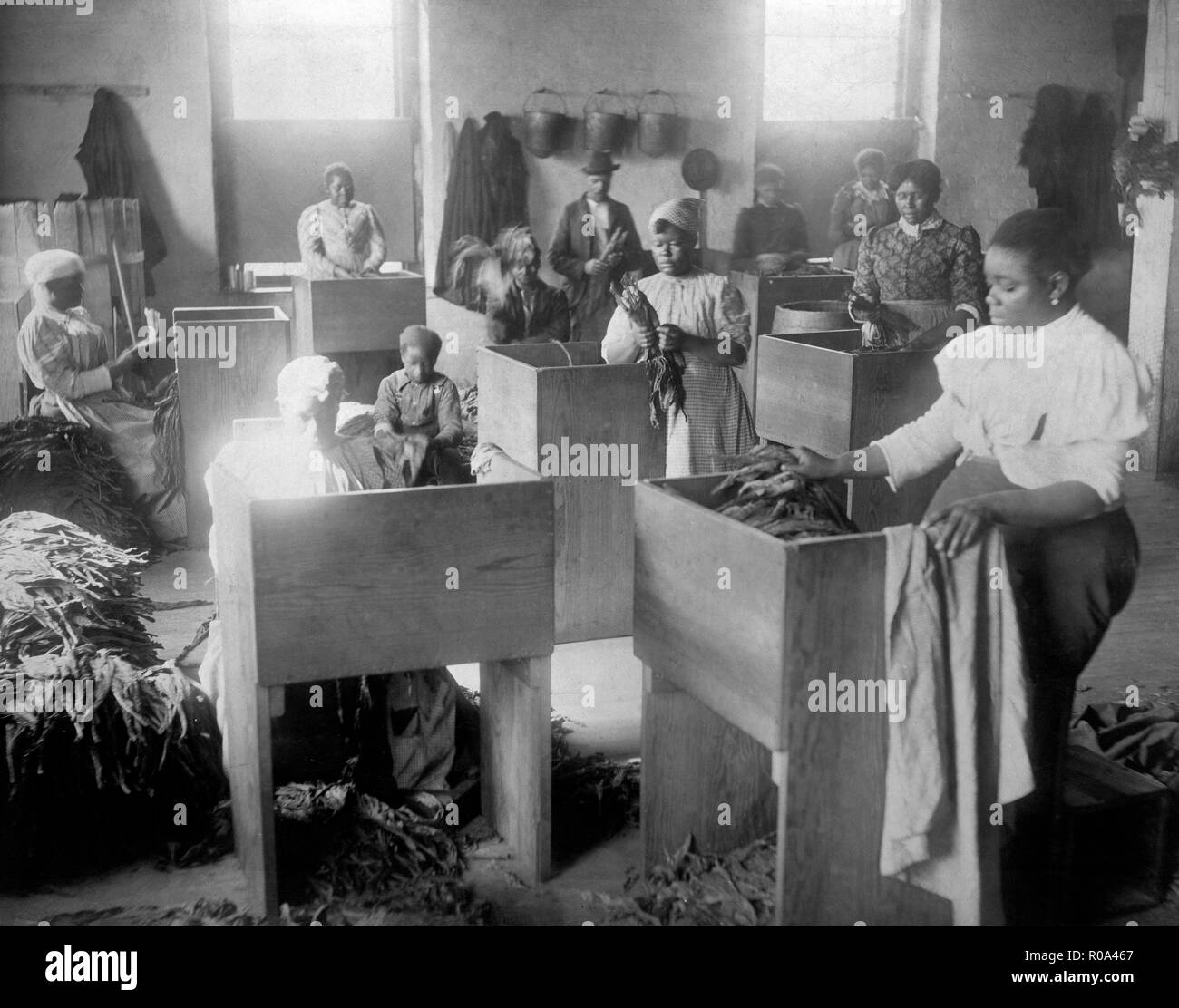 Les Afro-américains, pour la plupart des femmes, le tri du tabac, T. C. Williams & Co., Richmond, Virginia, USA, W.E.B. DuBois Collection, 1899 Banque D'Images