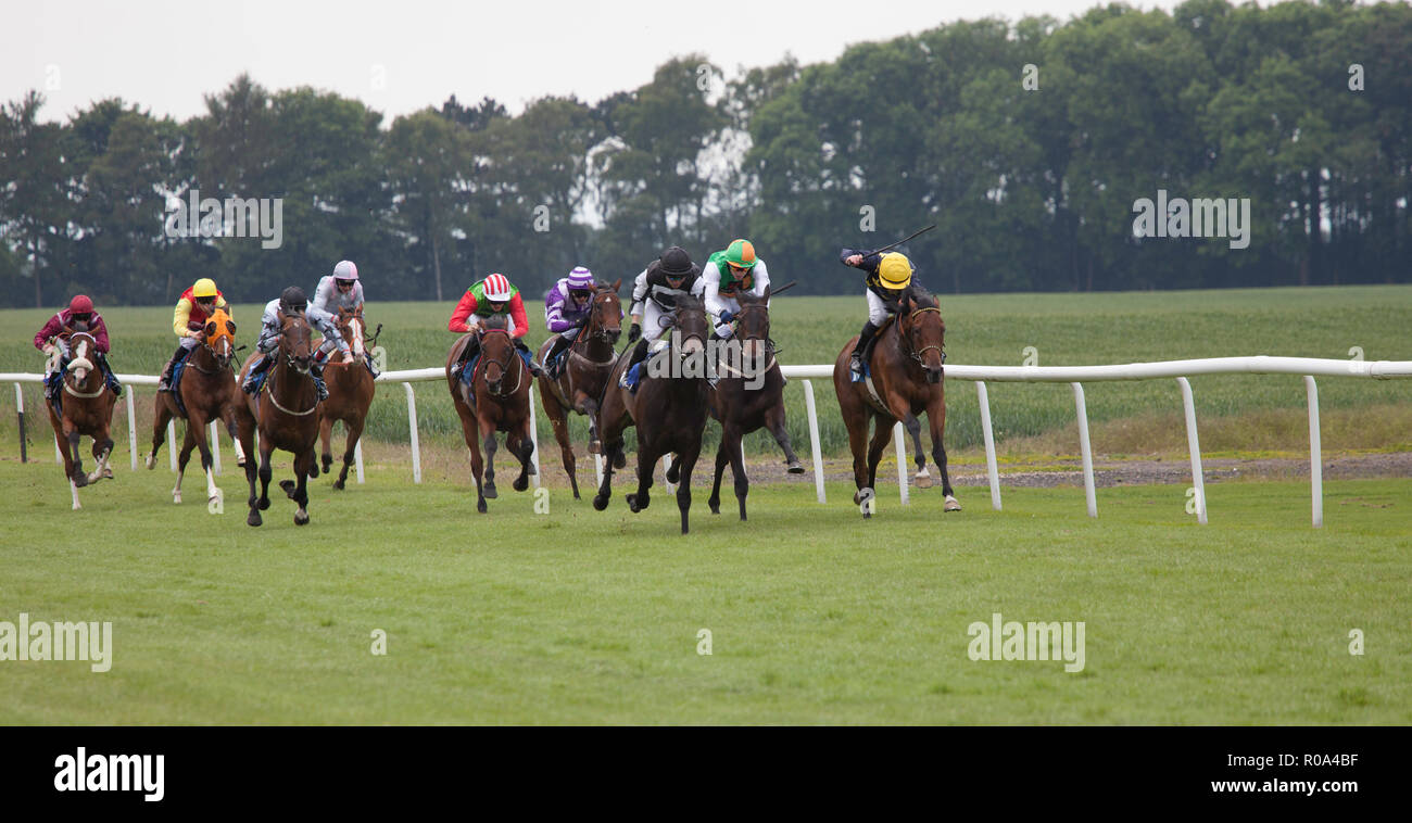 Cheval de course au galop Banque de photographies et d’images à haute résolution Alamy