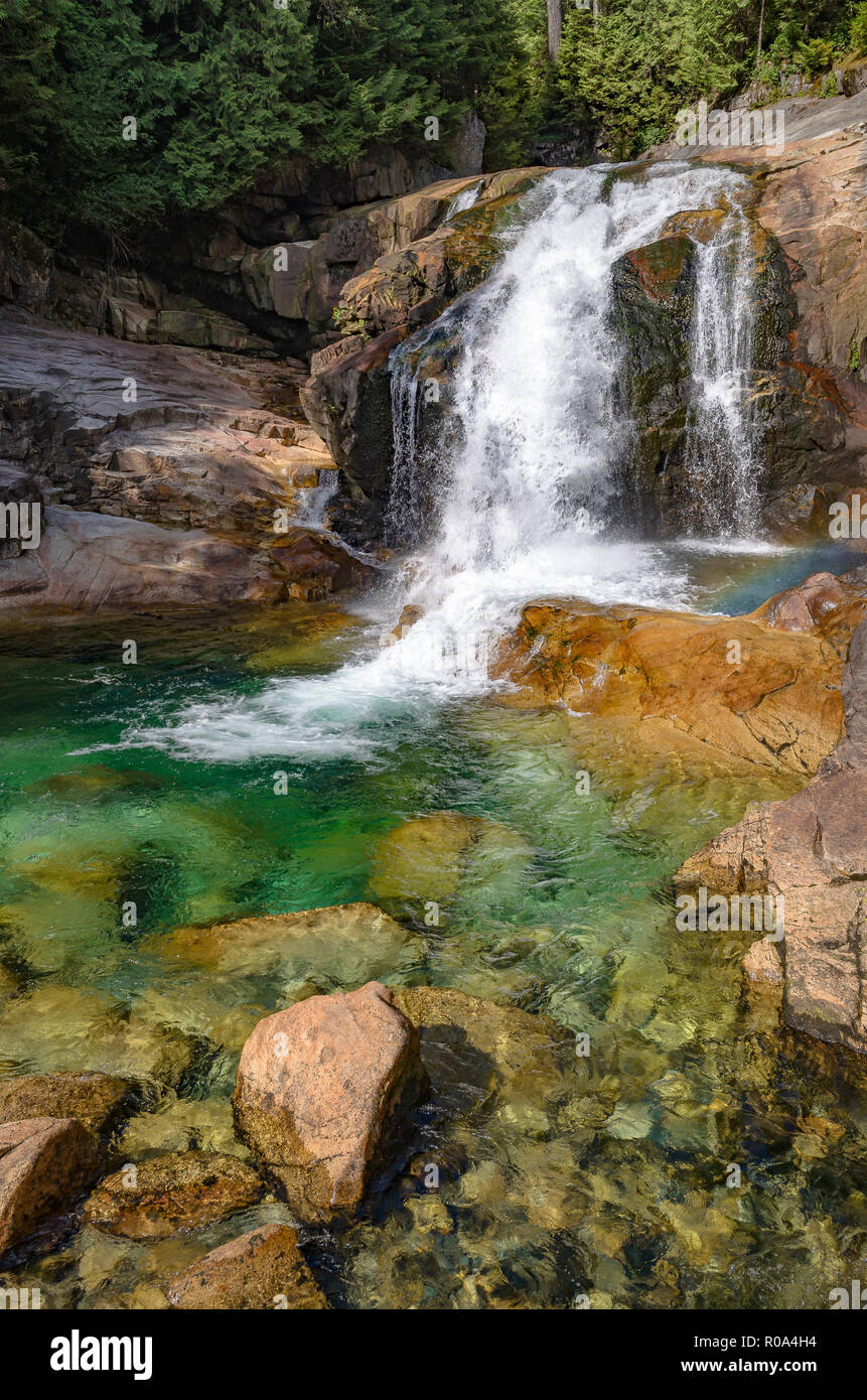 Lower Falls, parc provincial Golden Ears, Maple Ridge, British Columbia, Canada Banque D'Images