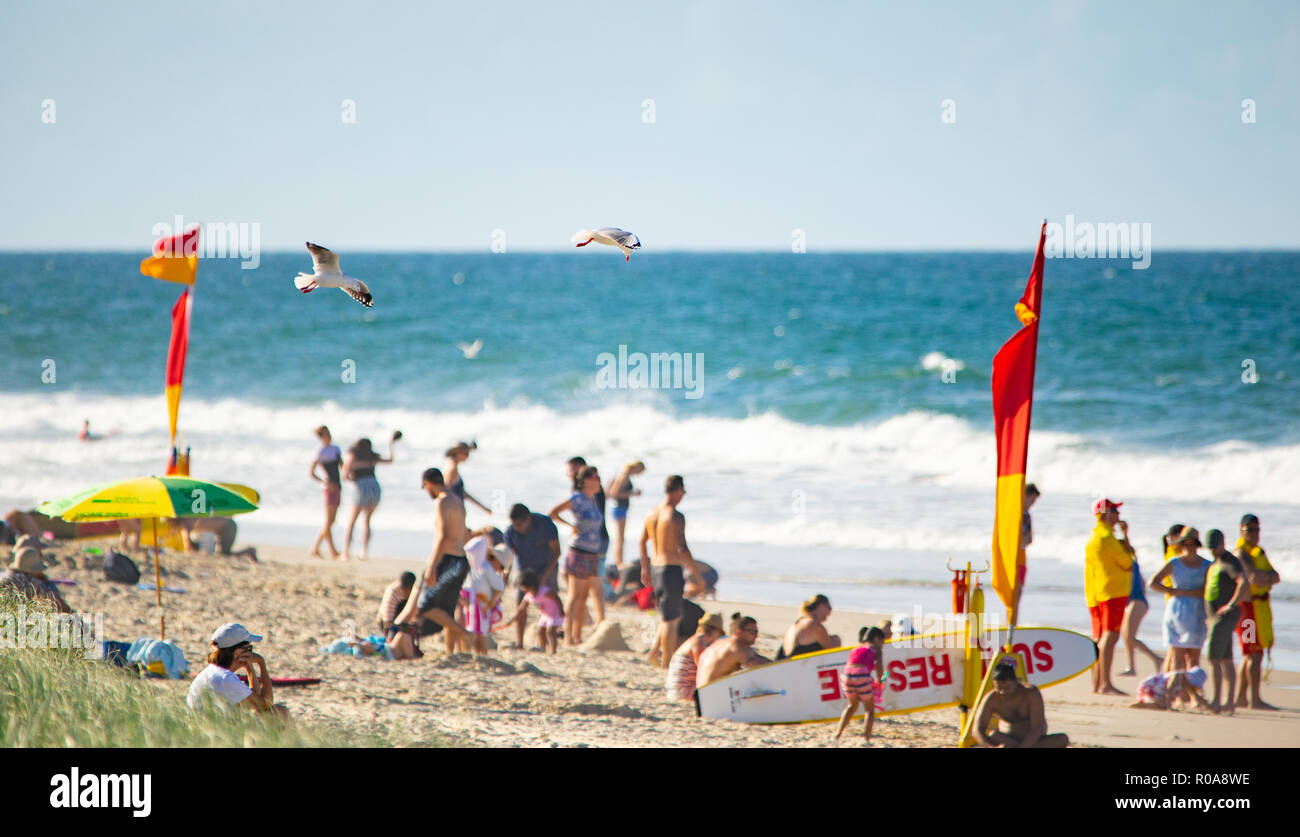Mouettes planant au-dessus de la tête avec les personnes bénéficiant de la plage Banque D'Images