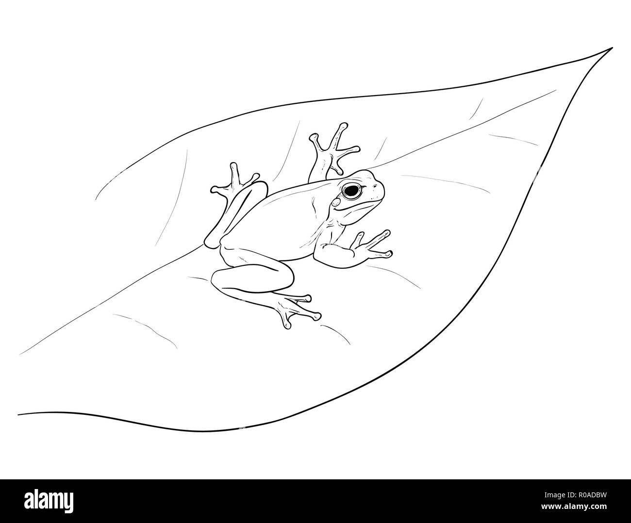 Illustration numérique camouflage Rainette Banque D'Images