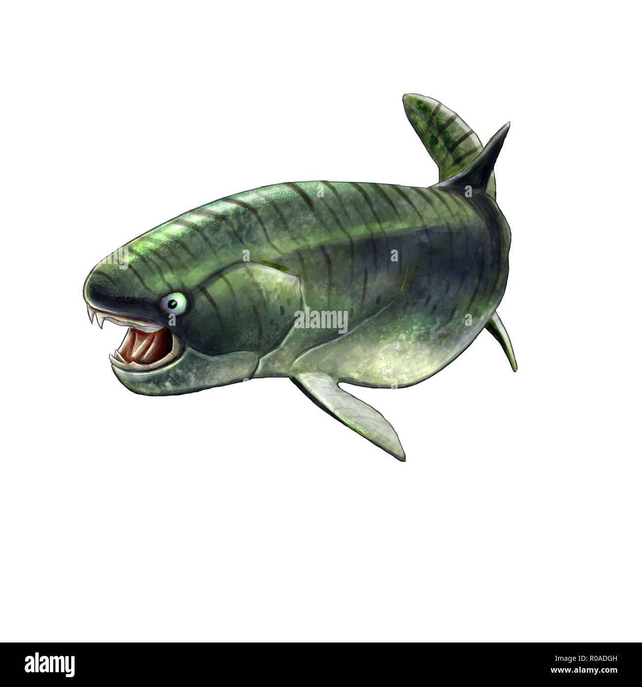 Illustration numérique d'un poisson préhistorique des placodermes, dukleosteus Banque D'Images
