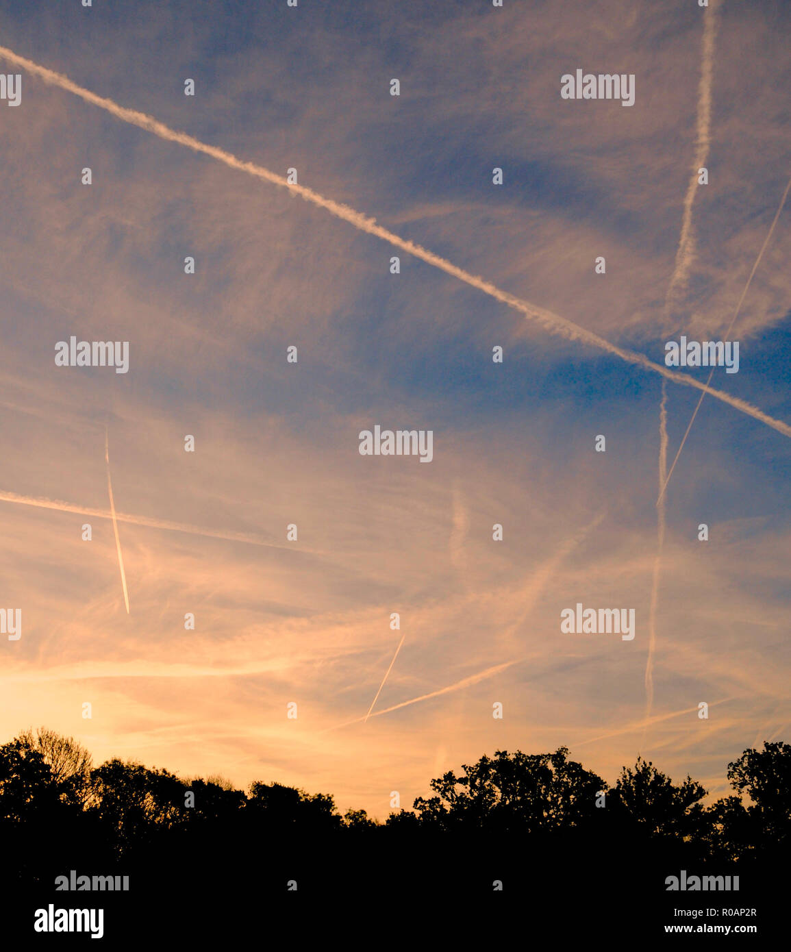 Contrail, également appelée traînée de condensation ou de vapeur, nuage de banderoles parfois observé derrière un avion volant dans l'air humide froid clair. Il forme à la condensation de vapeur d'eau produite par la combustion de carburant dans les moteurs d'avion. Lorsque l'humidité relative ambiante est élevée, le panache de cristaux de glace qui peuvent durer plusieurs heures. Le sentier peut être déformée par les vents, et parfois elle se propage vers l'extérieur pour former une couche de nuages cirrus. Ces ont été photographiés dans le sud de l'Angleterre en début de matinée. Banque D'Images