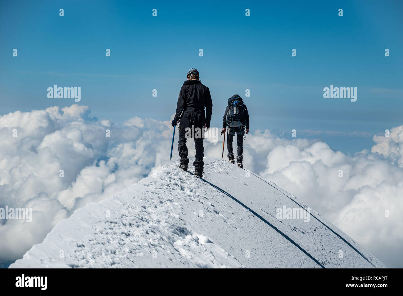 Alpinistes sur l'Aiguille de Bionnassay - sommet de neige extrêmement étroite crête au-dessus des nuages, massif du Mont Blanc, France Banque D'Images