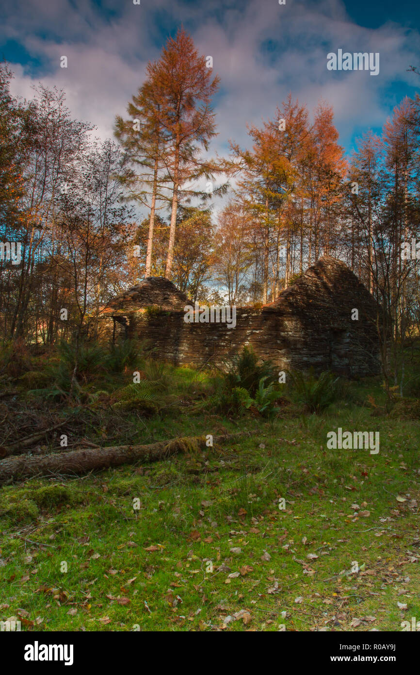 Une vieille maison en pierre et arbres d'automne, Coed Felinrhyd, Pays de Galles, Royaume-Uni Banque D'Images