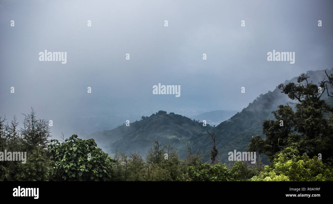 Forêt brumeuse de haute altitude offre une vue sur le paysage vallonné dans les régions rurales du Guatemala montagnes Banque D'Images