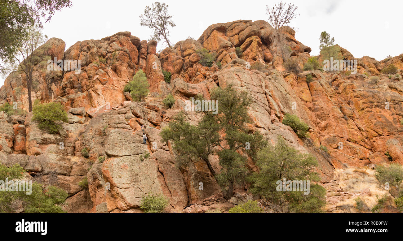 L'escalade à Pinnacles National Park, California, USA. Banque D'Images