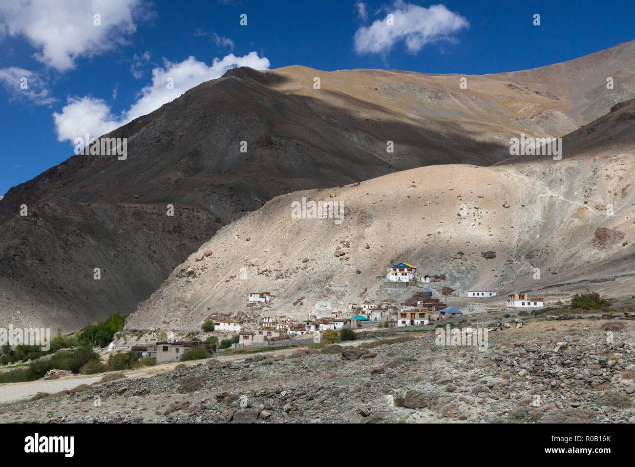 Cha (également connu sous le nom de Char) - village du Zanskar, le Jammu-et-Cachemire, l'Inde Banque D'Images