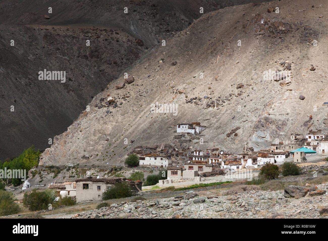 Cha (également connu sous le nom de Char) - village du Zanskar, le Jammu-et-Cachemire, l'Inde Banque D'Images