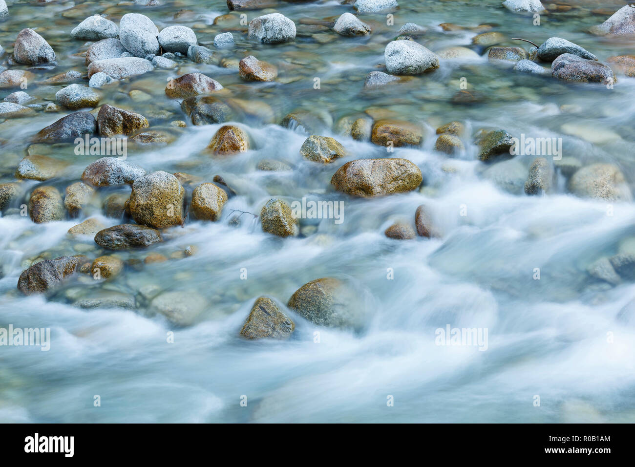 En hiver, la rivière Sarca val Genova, parc Adamello Brenta, Italia Banque D'Images