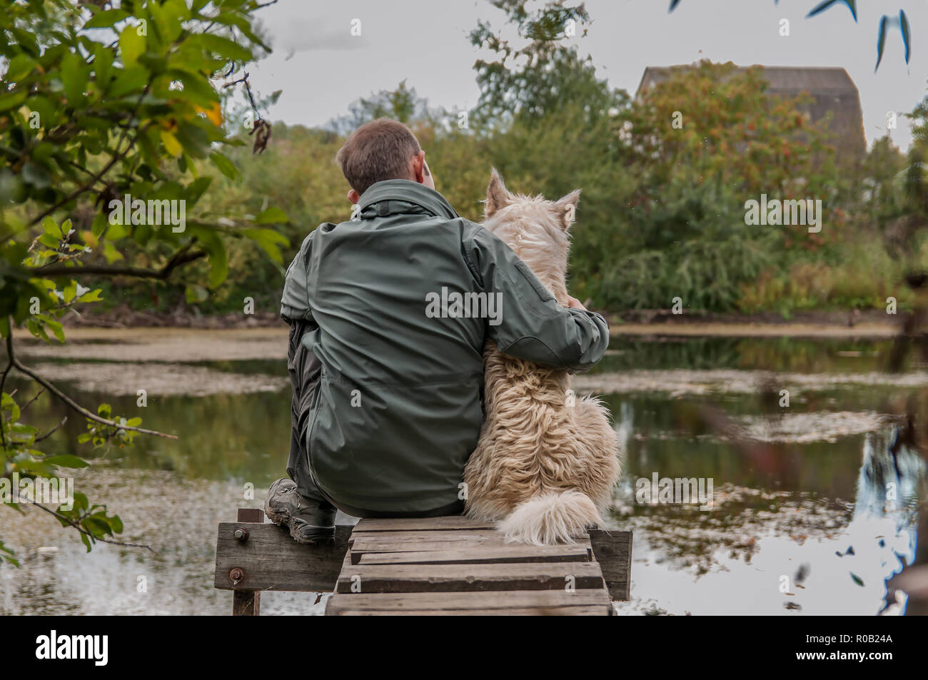 L'homme et le chien s'asseoir sur une vieille jetée en bois et regarde le lac bleu Banque D'Images