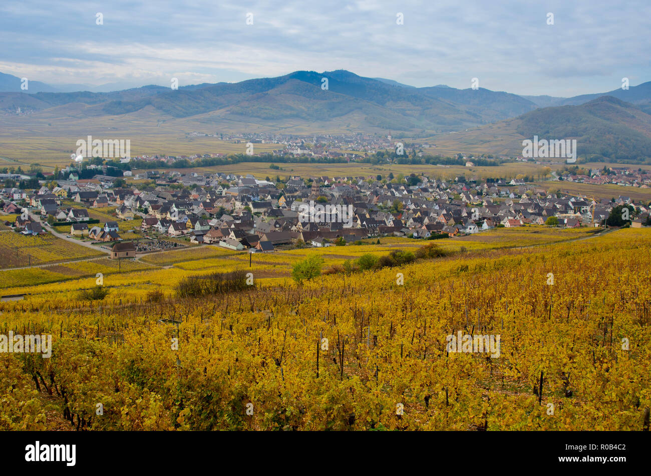 La Vallée de Kaysersberg en Alsace à la fin de l'automne ein franc Banque D'Images