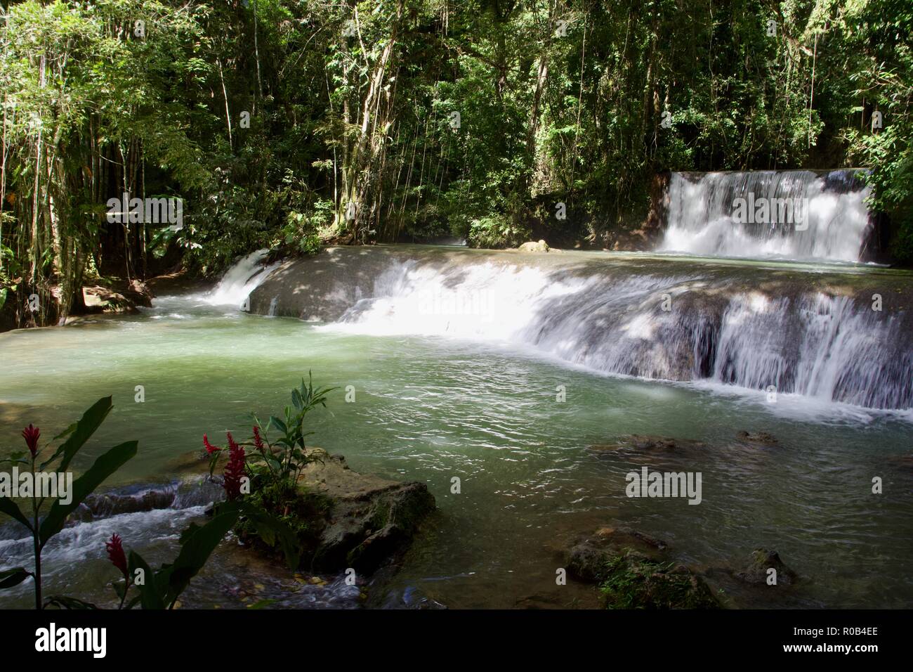 YS falls est une attraction touristique naturelle à Saint Elizabeth Parish, la Jamaïque. C'est un sept niveaux qui cascade en cascade piscines naturelles. Banque D'Images