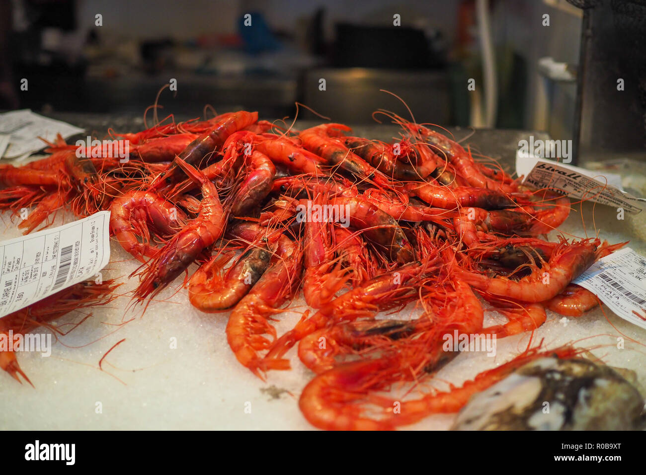 Poisson frais à vendre à Palma de Majorque marché alimentaire. Banque D'Images