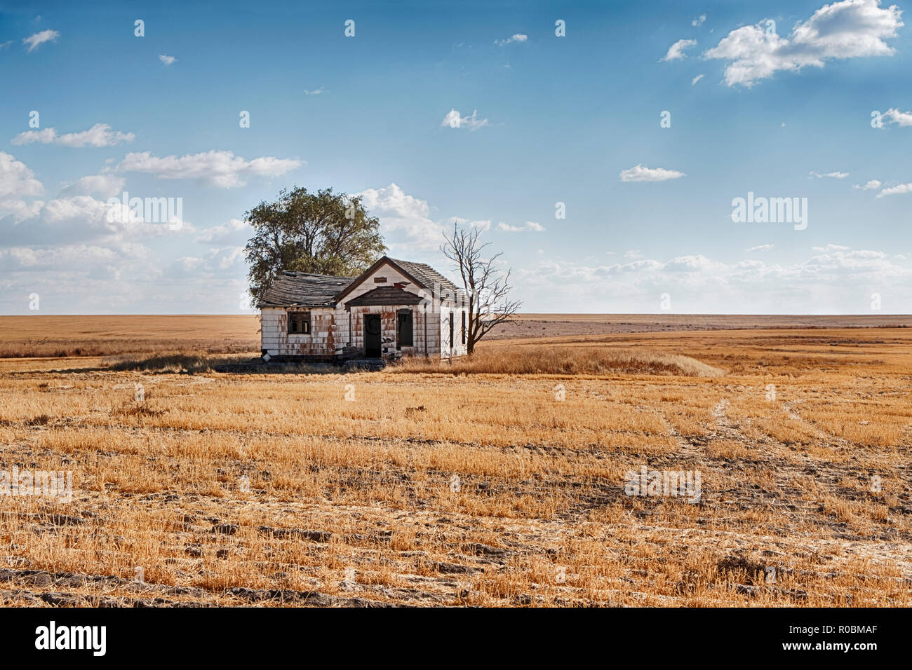 Une maison abandonnée est tout seul au milieu d'un champ de blé sans fin dans l'Est de Washington. Banque D'Images