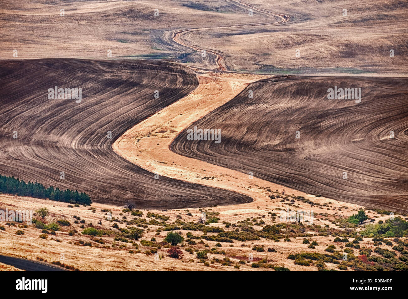 Une vue sur les champs de blé ci-dessous dans la Palouse Steptoe Butte Région de l'est Washington souligne les couleurs de l'automne. Banque D'Images