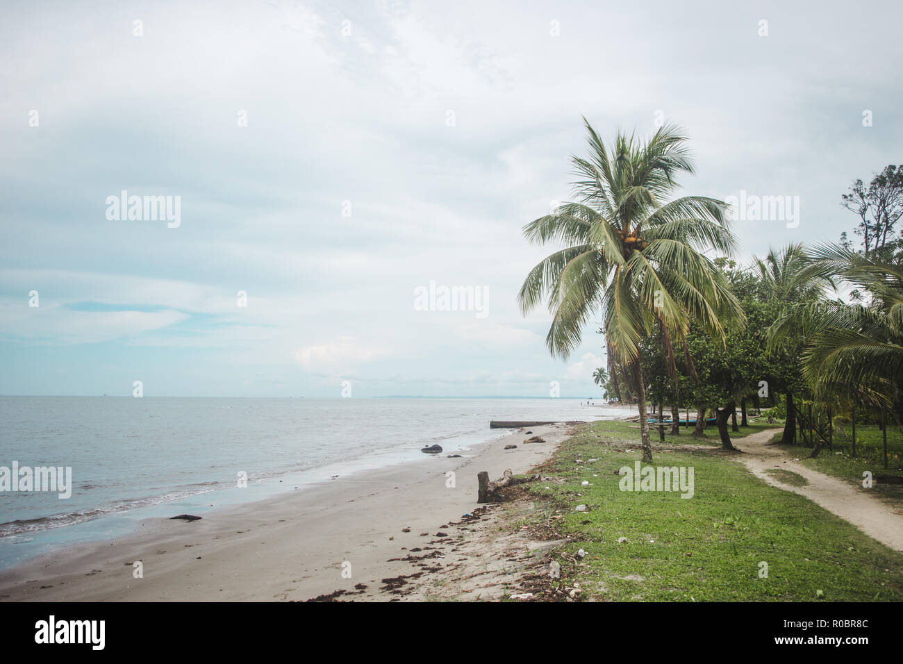 Palmiers sur une plage paradisiaque de sable blanc sur l'image à Livingston, à l'est du Guatemala Banque D'Images