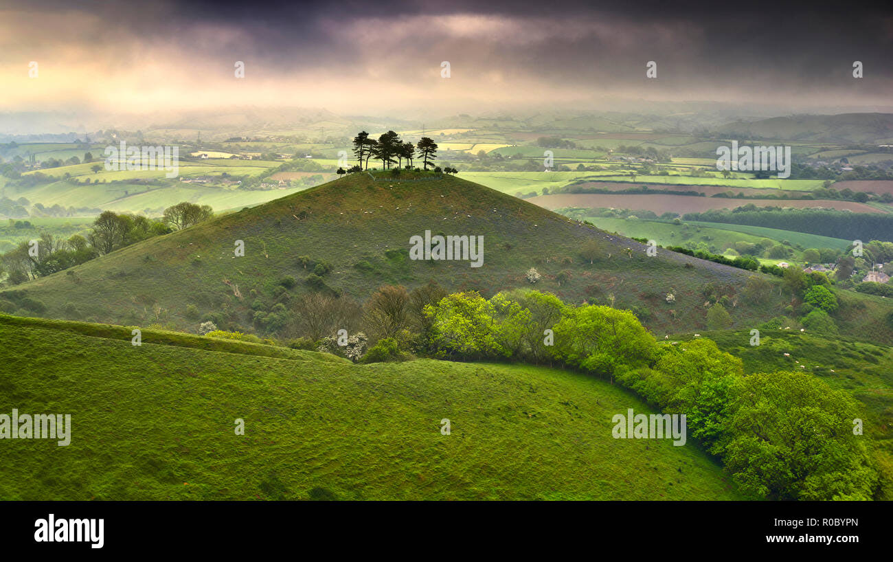 Colmers Hill à l'aube d'un matin sombre et lugubre en mai. Dorset, Angleterre Banque D'Images