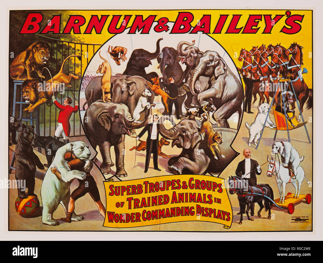 Barnum & Bailey en troupes et groupes de superbes animaux entraînés à se demander s'affiche, commandant de l'affiche de cirque, lithographie, 1906 Banque D'Images