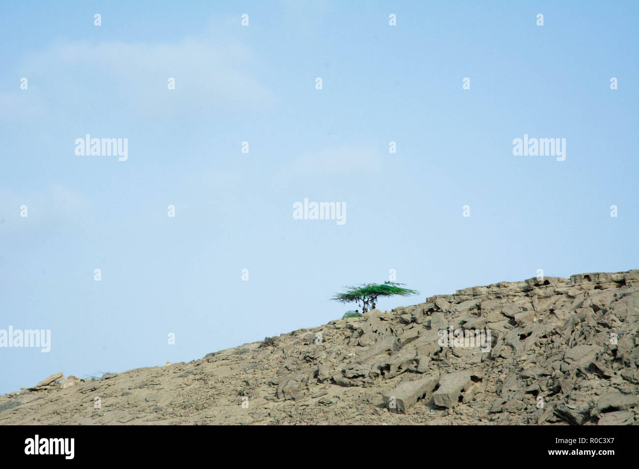 L'autoroute côtière Makran, Kund Malir Beach, quelques personnes debout à l'ombre de l'arbre pour obtenir le soulagement de la chaleur torride Banque D'Images