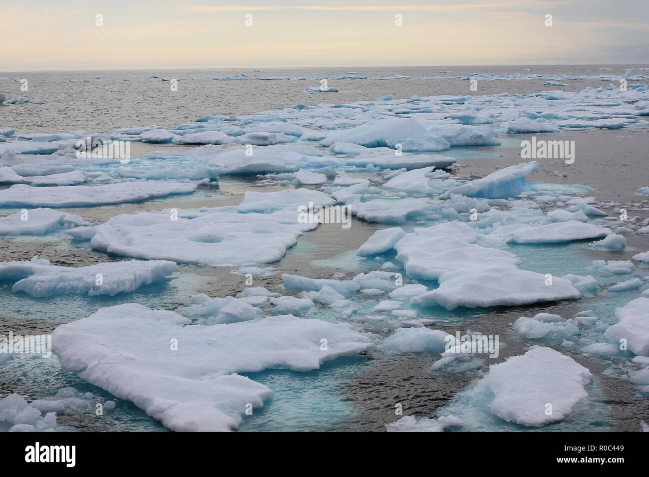 Plaques de glace au coucher du soleil, le détroit de Davis, côte est de l'île de Baffin, le Canada vu de l'Amundsen Banque D'Images