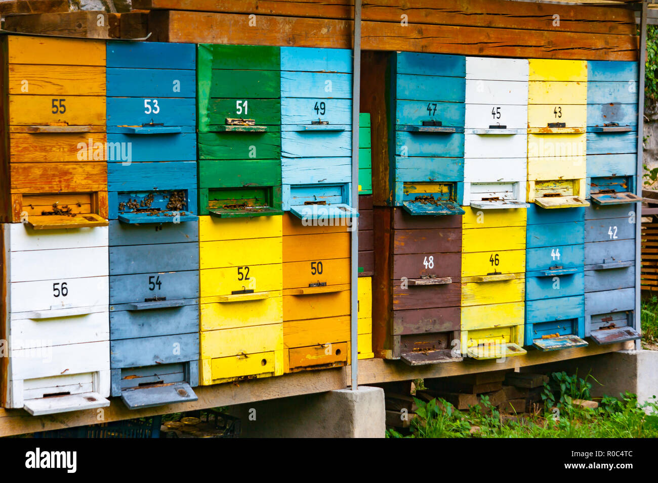 De nombreuses boîtes de ruche en bois colorés empilés dans la forêt près de Bled, en Haute-carniole, Slovénie Banque D'Images