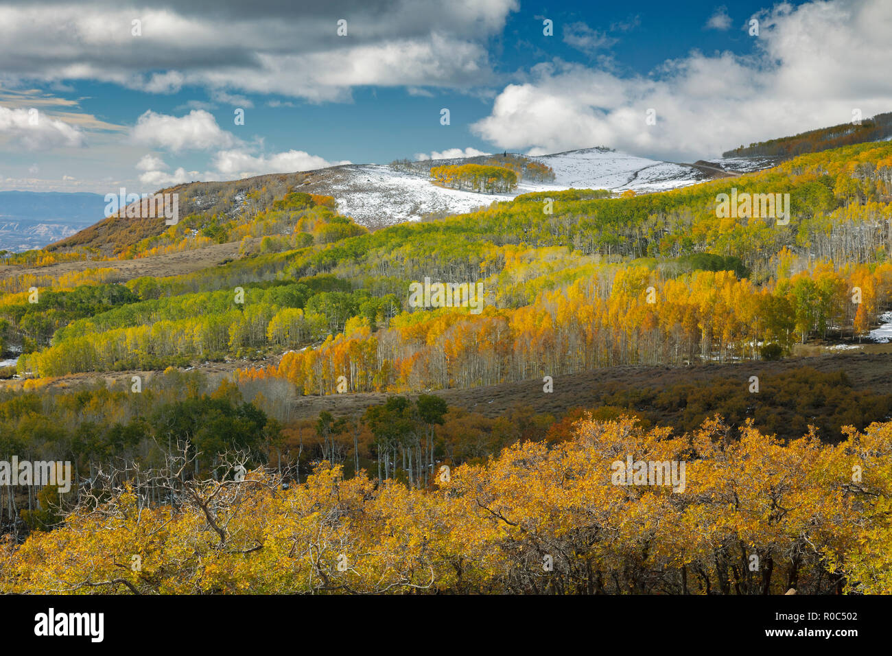 L'évolution des montagnes du sud de l'Utah - Aspen Banque D'Images