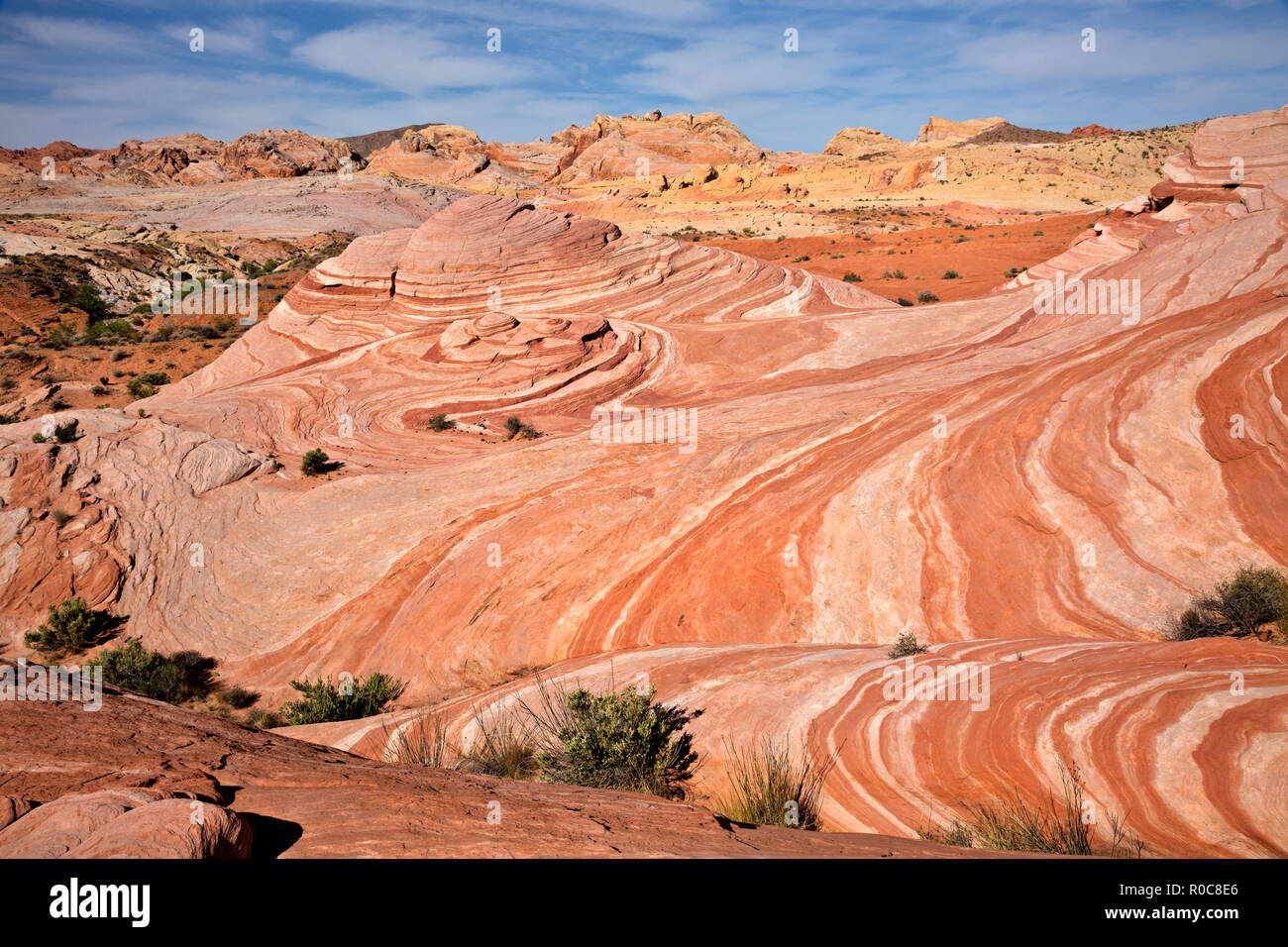 NV00102-00...NEVADA - bandes colorées de grès à créer la fonction appelée le feu partie vague du désert de Mojave situé dans la vallée de fi Banque D'Images