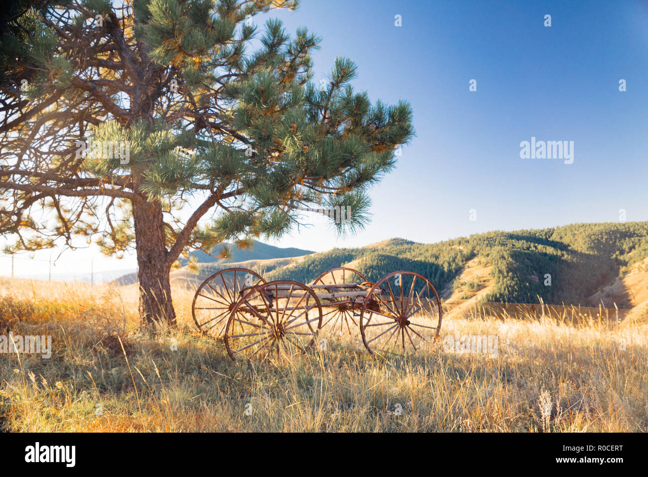 Lever de soleil sur Lookout Mountain, Golden Colorado Western USA scene Banque D'Images