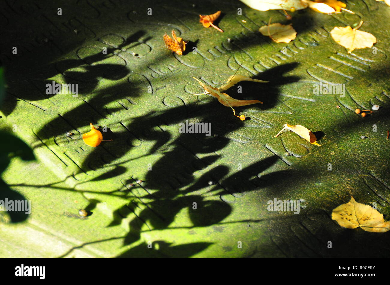 Les feuilles d'automne sur la vieille pierre tombale avec l'écriture Banque D'Images