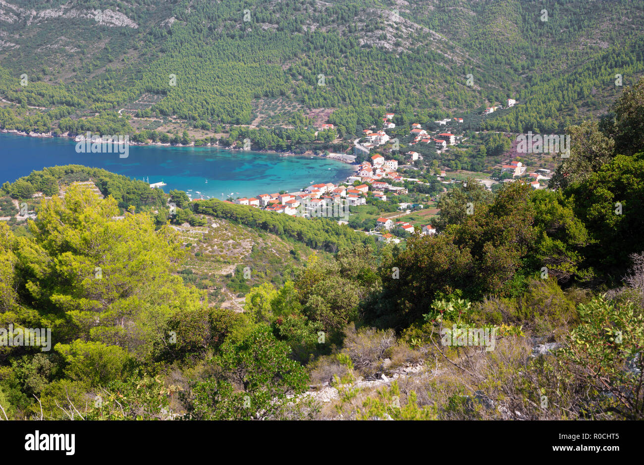 Croatie - le paysage et la côte de la péninsule de Peliesac près de Zuliana. Banque D'Images